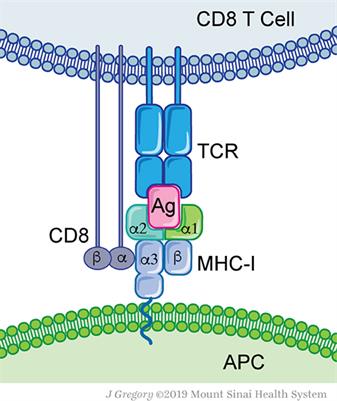 Computational Prediction and Validation of Tumor-Associated Neoantigens